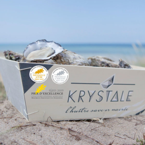 Projekt bez nazwy.png