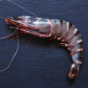 6A8FDC5B-72EA-40E4-AE92-A781BA186929.png