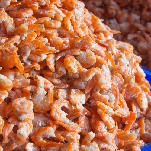 Projekt bez nazwy.png