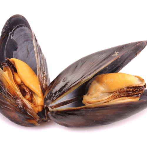 Projekt bez nazwy.png