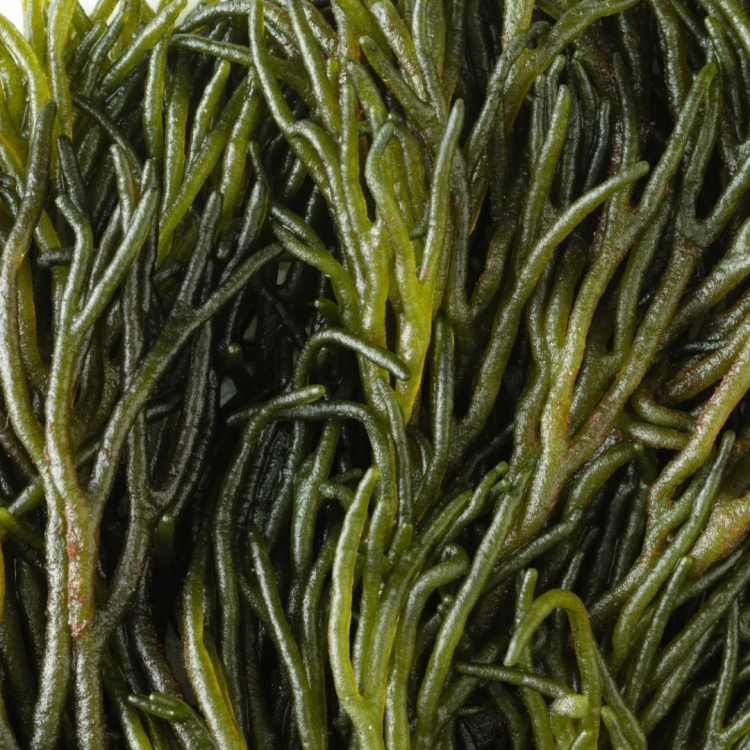 C1628797-D877-4890-BFE9-804F50C237D9.png
