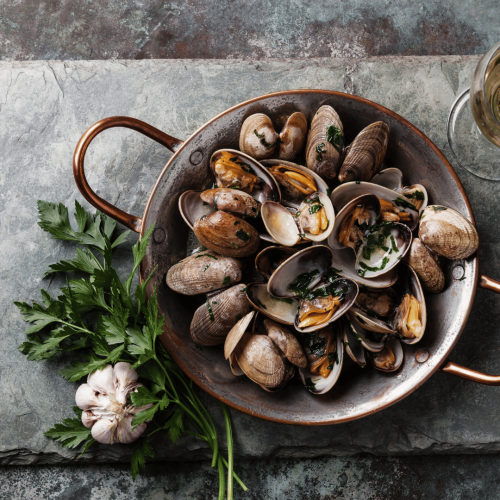 Projekt bez nazwy.png