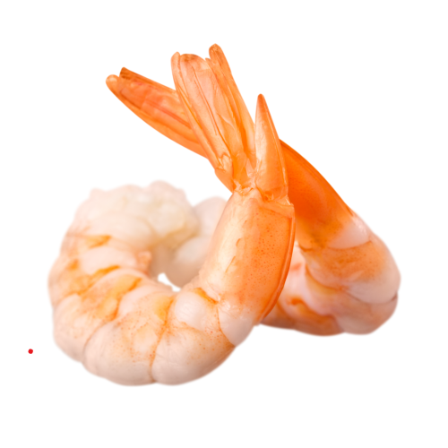 o-9.png