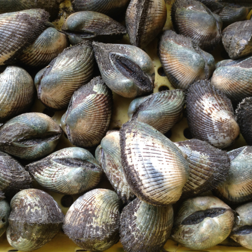 Dzień babci-23.png