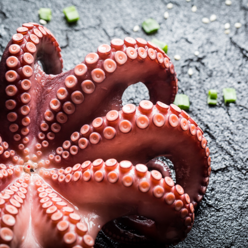 Projekt bez nazwy-46.png