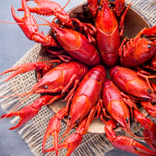 Projekt bez nazwy-50.png