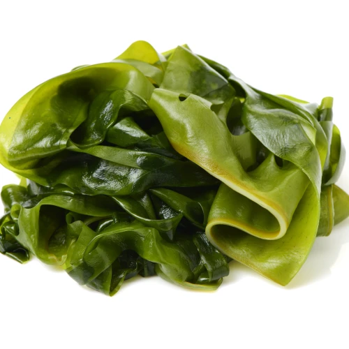 Projekt bez nazwy-52.png