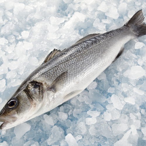 Projekt bez nazwy-69.png