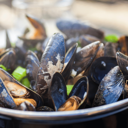 Projekt bez nazwy.png