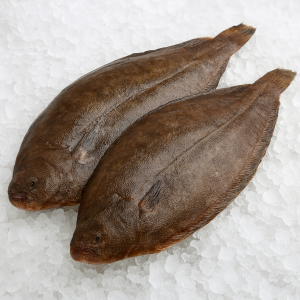 Sola Dover patroszona