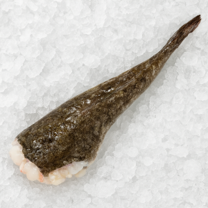 Żabnica ogon 1,5 kg