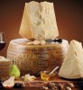 Grana Padano.jpg