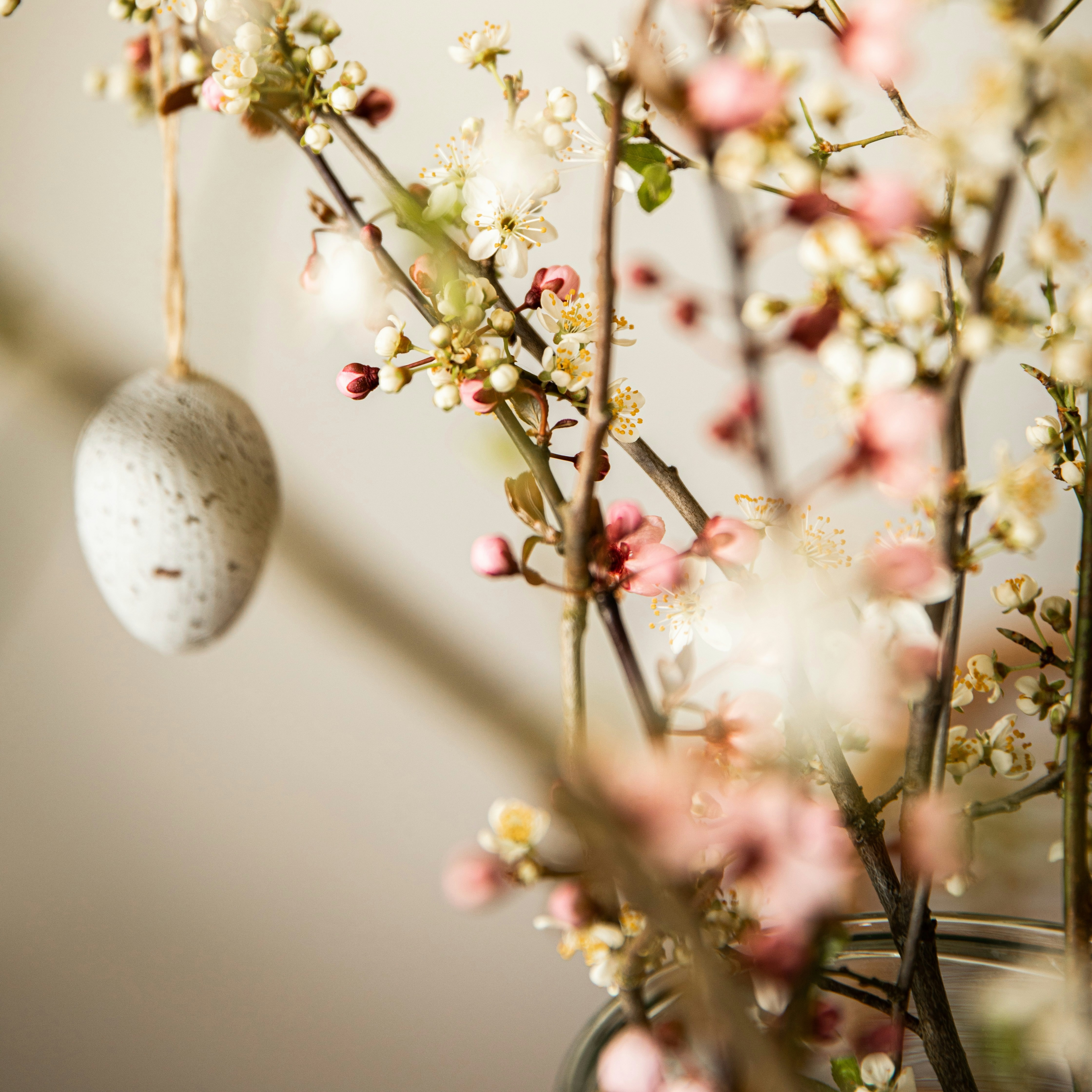 Śledzie i ryby na Wielkanoc – tradycyjne smaki na Twoim świątecznym stole