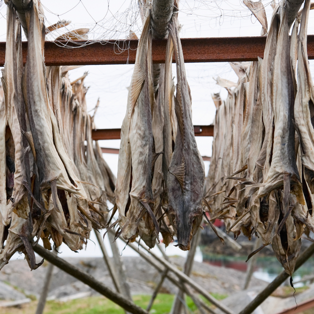 Stockfish – co to jest? Poznaj sekret suszonego dorsza z Norwegii i sprawdź, jak go przyrządzić