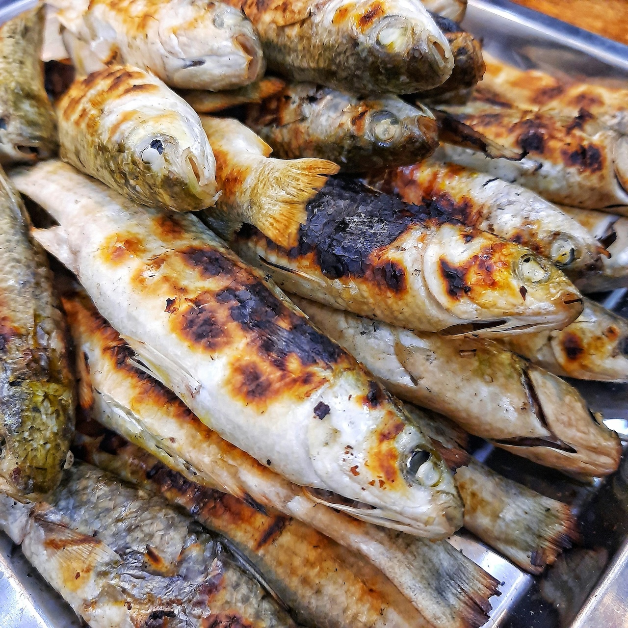 Jak przygotować ryby i mięso na grill? Przewodnik krok po kroku